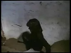 گربه نمونه را روی استخوان فیلم سکس مرد با حیوان سخت قرار دهید